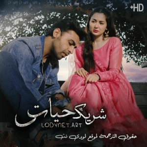 مسلسل الباكستاني شريك حياتي مترجم