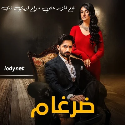 مسلسل الباكستاني ضرغام مدبلج الحلقة 10